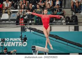 評論中並不 評論中並不